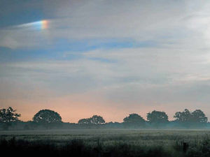 Supporting image for story: Snapper's lucky night-time shot is a winner