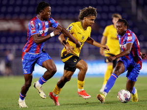 Supporting image for story: Stateside Cup: Wolves 1 Crystal Palace 3