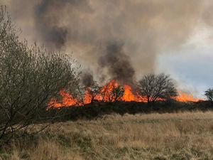 Supporting image for story: Operation reforms to reduce impact of grass fires as accidental blazes soar