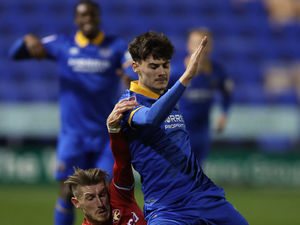 Supporting image for story: Luton loanee Elliot Thorpe determined to make up for lost time at Shrewsbury Town