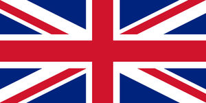 Supporting image for story: Police investigating threats over council’s flag removal plans