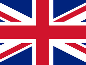 Supporting image for story: Police investigating threats over council’s flag removal plans