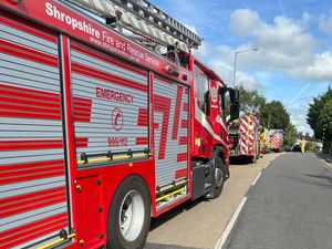 Supporting image for story: Firefighters rush to 'false alarm' reporting people inside a burning house after call thought to be 'malicious'
