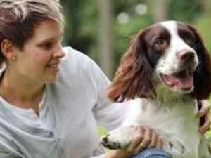 Supporting image for story: Warning as dogs poisoned by algae
