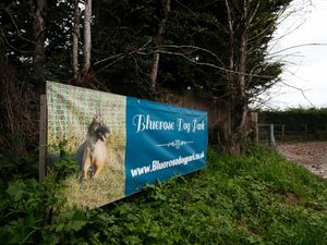 Supporting image for story: 'We are absolutely devastated!' Tragedy as eleven dogs die in private kennels blaze