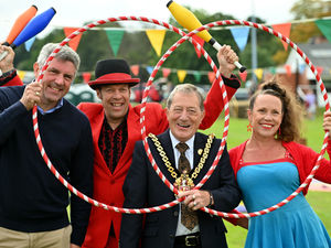 Supporting image for story: Wolverhampton firm thanks employees with day of family fun - and a chance to soak the boss