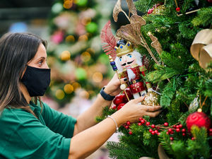 Supporting image for story: Telford garden centre invites shoppers to support charity with Christmas event