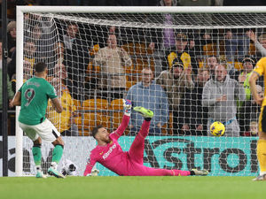 Supporting image for story: PGMOL boss Howard Webb urges VAR to change after Wolves v Newcastle penalty howler 