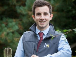 Supporting image for story: Shropshire Farming Talk: Has milk price impacted on land values in 2022?