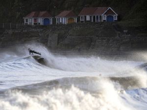 A surfers comes off their board while riding a wave