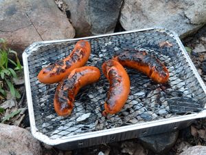 Supporting image for story: Disposable barbecue blamed for woodland blaze near Shrewsbury that fire crews had to battle for six hours