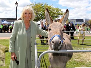 Supporting image for story: Mark Andrews: Rishi talks tough on graffiti, party's over for Tupperware, and don't stroke the donkeys