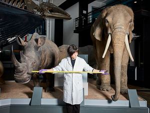 Supporting image for story