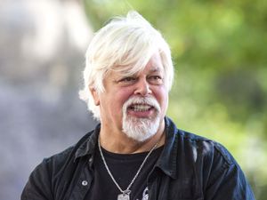 Supporting image for story: Denmark frees whaling activist Paul Watson after Japan extradition request