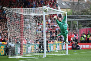 Supporting image for story