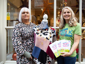 Supporting image for story: New local sponsor for Shrewsbury Folk Festival