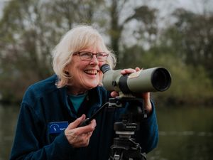 Supporting image for story: Heron watch comes to Ellesmere 