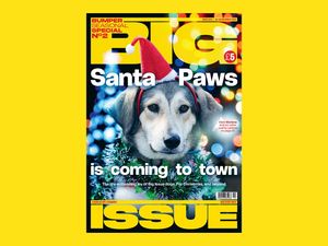 Supporting image for story: Special Big Issue edition on sellers and their dogs