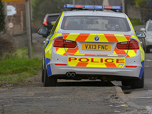 Supporting image for story: Two arrests and cannabis seized in Telford police raids