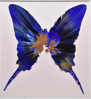Damien Hirst’s ‘Butterfly Spin’ valued at £2,000 to £4,000.