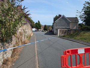 Supporting image for story: Third man dies following 'horrific' crash in Upper Gornal