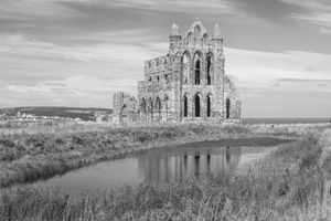 Dave Collier - Whitby Abbey