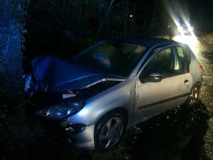 Supporting image for story: PICTURED: Driver lucky to be alive after car smashes into tree