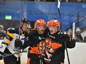 Supporting image for story: Telford Tigers sting the Bees for a second time to hit top spot