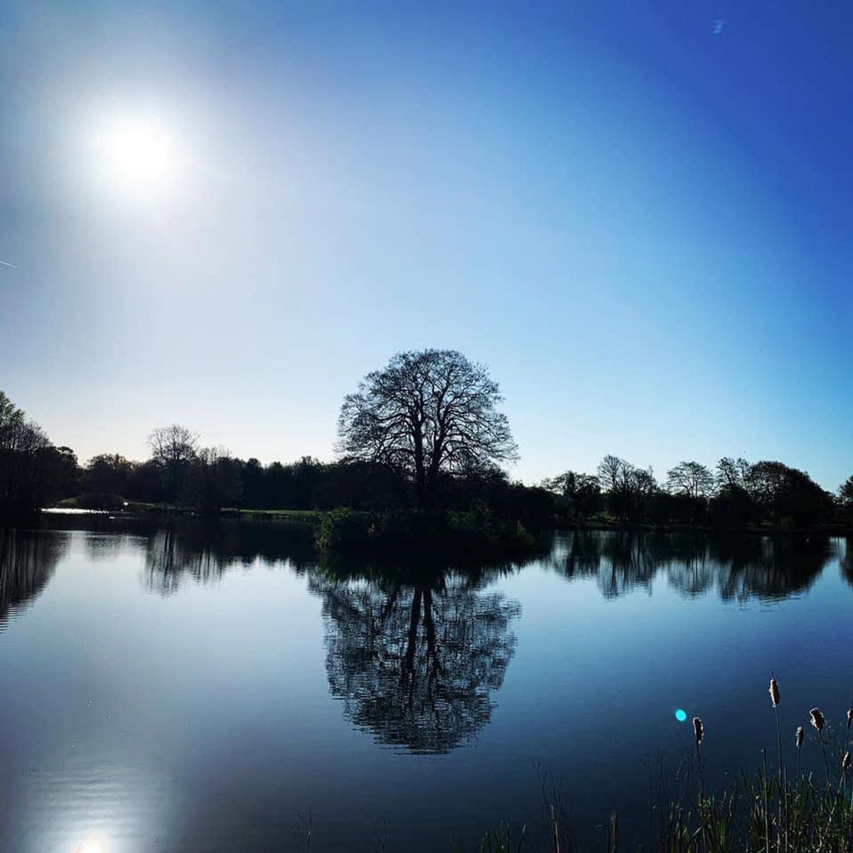 The last thing we wanted - Shropshire beauty spot to remain closed this heatwave weekend due to toxic algae