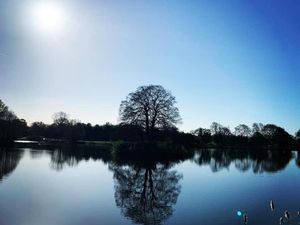 Supporting image for story: Alderford Lake closed after toxic blue/green algae blooms
