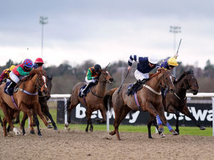 Supporting image for story: Horse racing at Wolverhampton abandoned after red heat warning issued