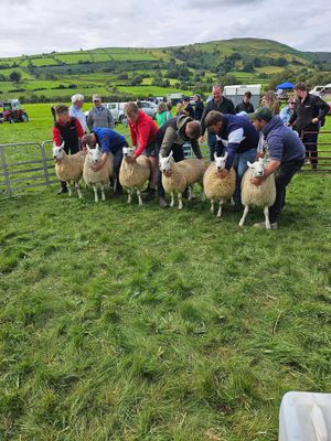 Supporting image for story: A Radnorshire community will be celebrating its 87th agricultural show on Saturday, August 16