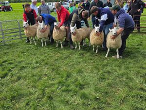 Supporting image for story: A Radnorshire community will be celebrating its 87th agricultural show on Saturday, August 16