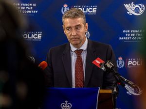 Supporting image for story: New Zealand renews search for father who vanished into forest with children