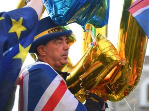 Supporting image for story: Dudley MP ‘griping for coverage’ in calling for protester to be locked in the Tower 