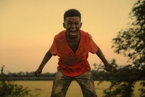 The Last Tree is out in cinemas on September 27