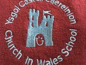 Supporting image for story: Cabinet approve consultation to move ahead with Castle Caereinion School closure