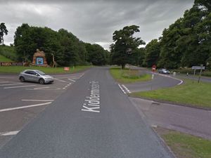 Supporting image for story: Man dies after being hit by van near West Midland Safari Park