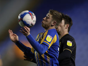 Supporting image for story: Stability key to Josh Vela’s star turn at Shrewsbury 