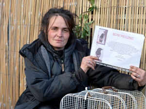 Supporting image for story: West Bromwich woman's home 'not the same' without missing magpie