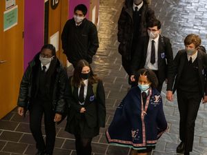 Supporting image for story: Ethnic minority children may be disproportionately impacted by Covid-19 – study