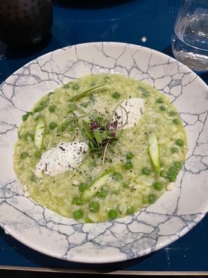 Risotto alla Milanese at Regina's restaurant in Birmingham