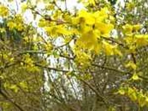 Supporting image for story: Colours spring into action at last