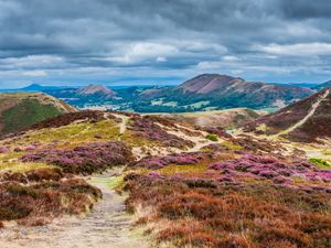 Supporting image for story: Stunning scene of Shropshire Hills is winning photo 