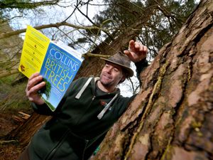 Supporting image for story: Woodland classes go online with great success