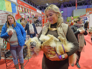 Supporting image for story: NEC's best year for new events