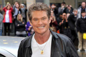 Supporting image for story: David Hasselhoff's Birmingham concert cancelled
