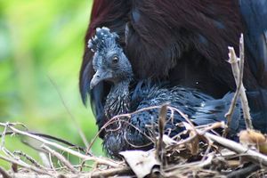 Supporting image for story