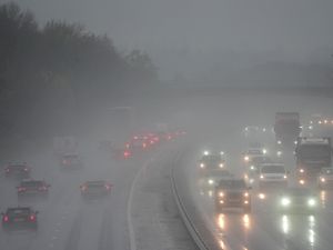 Supporting image for story: Drought hit areas begin to recover after surge in rainfall, officials say