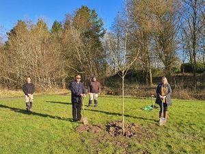 Supporting image for story: Memorial arboretum to Covid victims planned